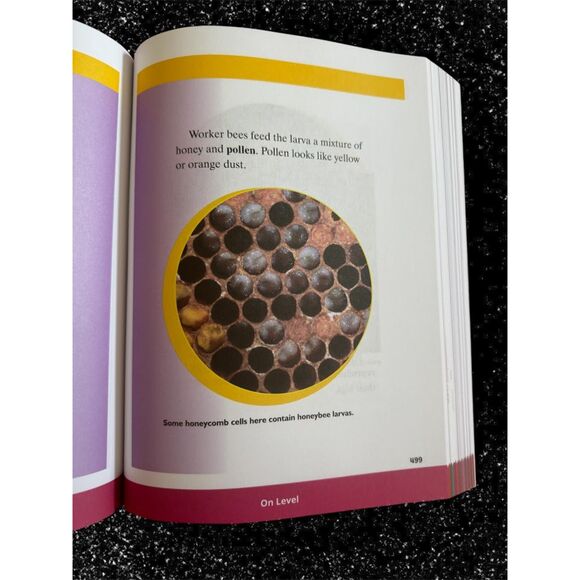 English Language Arts, Grade 2, Homeschooling, Leveled Readers *NEW - Picture 2 of 4